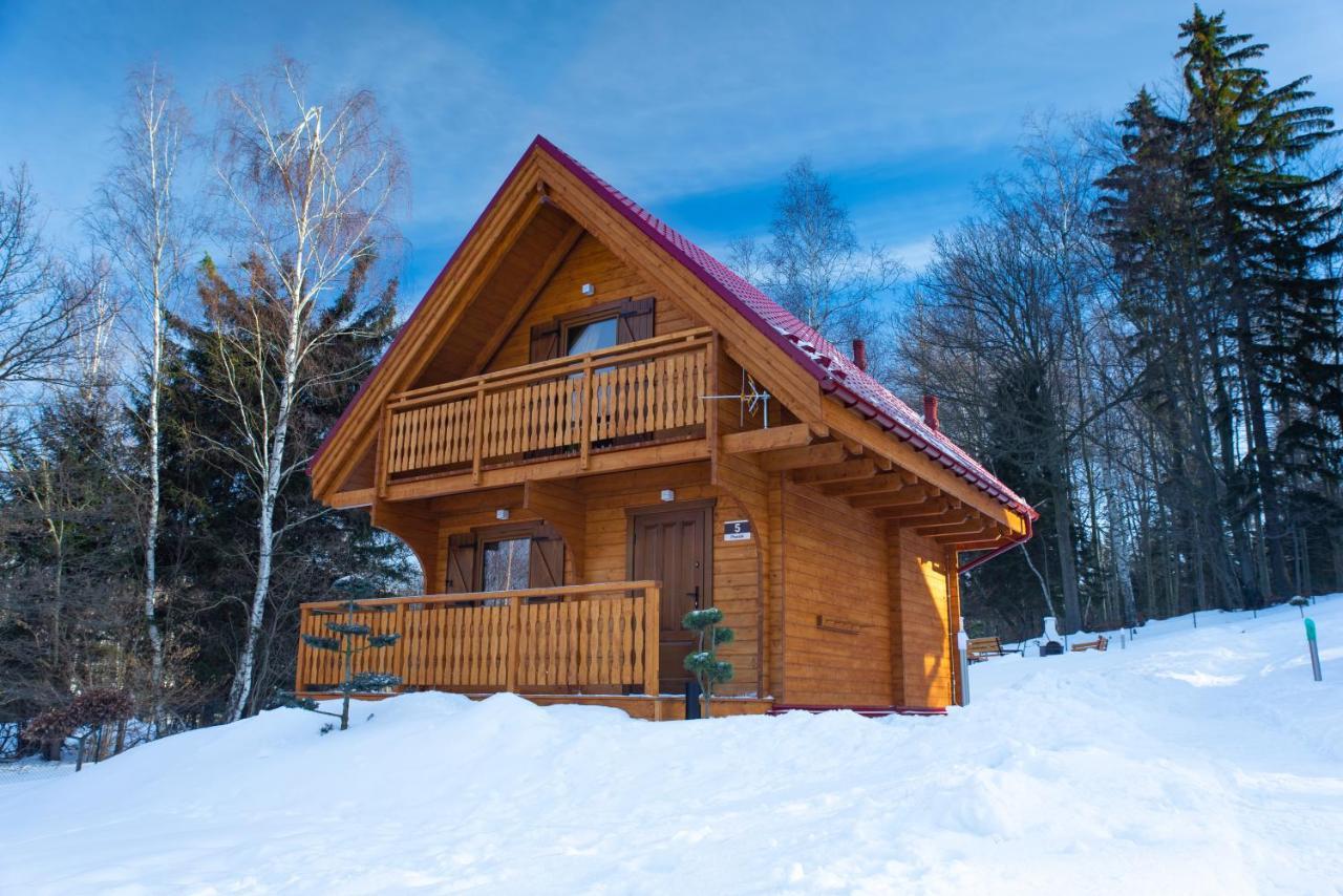 Gorskie Wytchnienie Karkonosze Piechowice (Karkonosze)